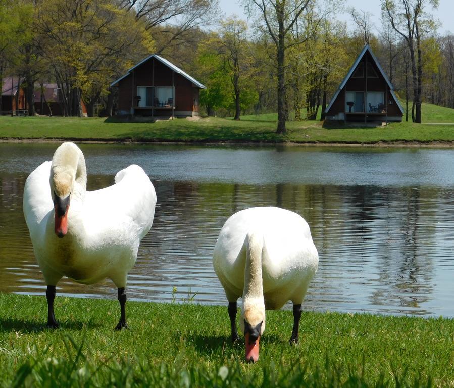 Serenity Springs - Michigan City Hotel Springfield Екстериор снимка