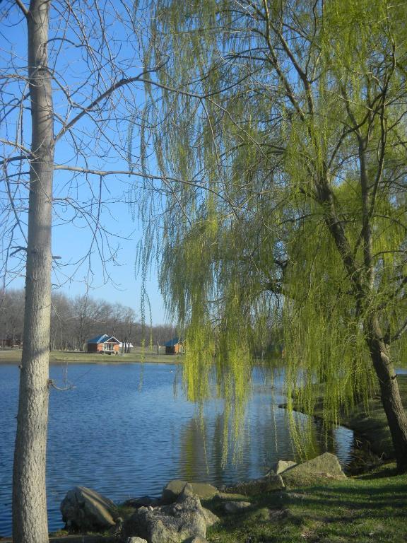 Serenity Springs - Michigan City Hotel Springfield Екстериор снимка