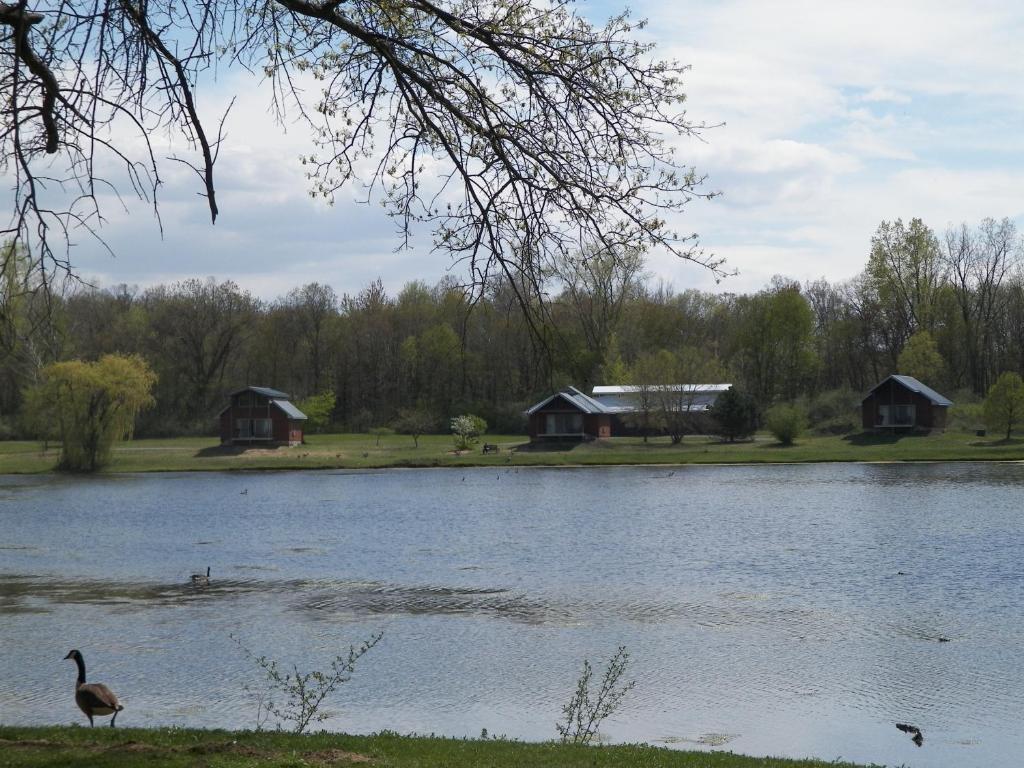 Serenity Springs - Michigan City Hotel Springfield Екстериор снимка
